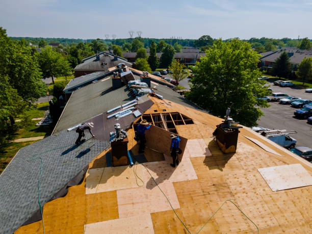 Best Metal Roofing Contractor  in Hunter, OH