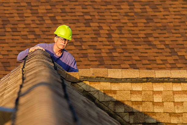 Best Storm Damage Roof Repair  in Hunter, OH